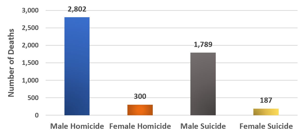 Firearm deaths by gender