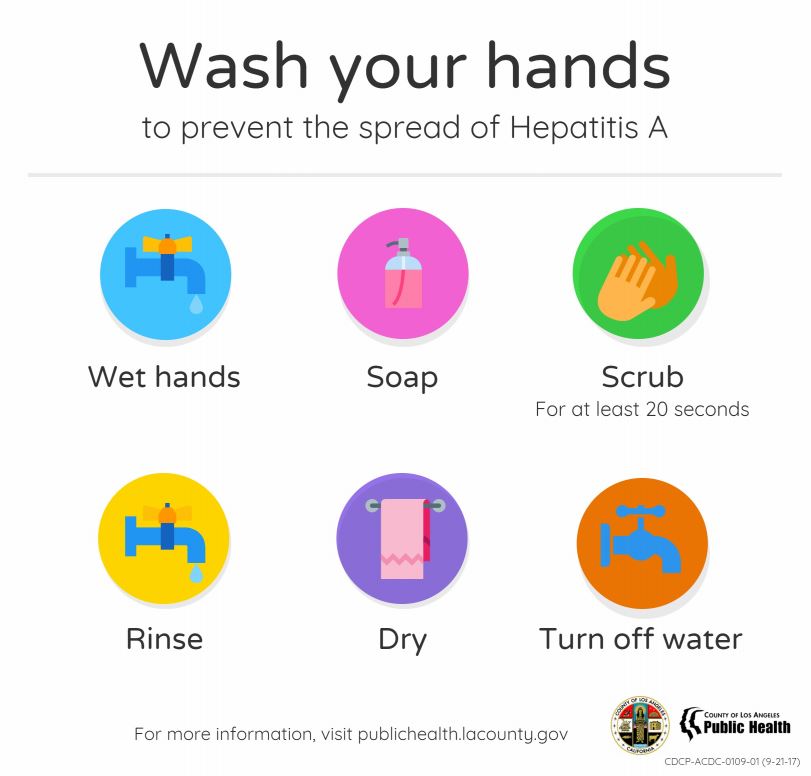 Hepatitis A infographic