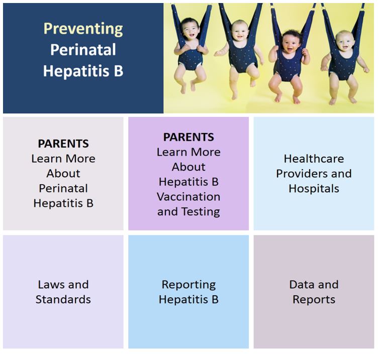 Perinatal Hepatitis B Prevention - Website 