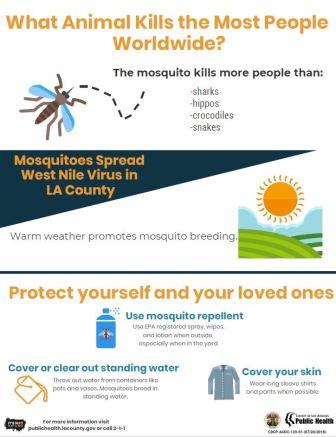 Preventing Mosquito-borne Diseases– Infographic